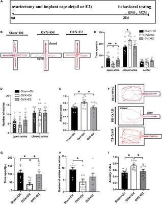 Activation of Estrogen Receptor β in the Lateral Habenula Improves Ovariectomy-Induced Anxiety-Like Behavior in Rats